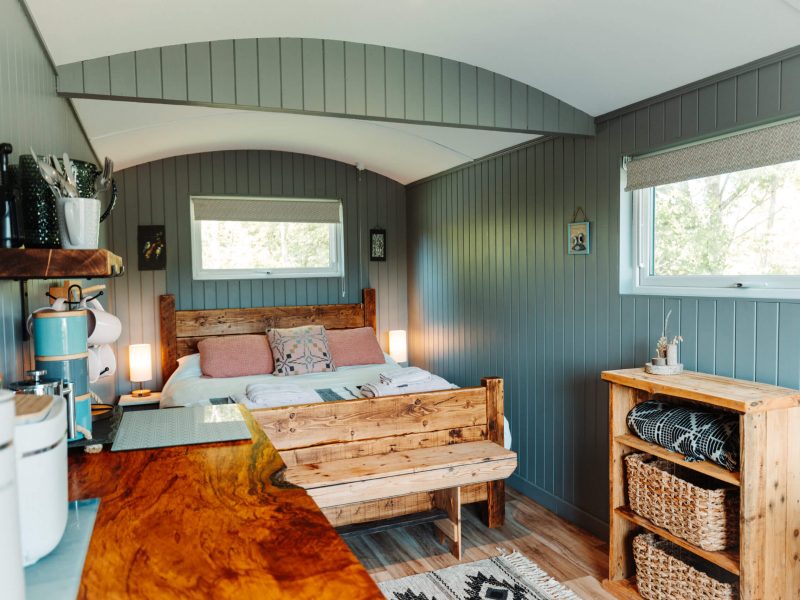 Inside the dog-friendly cabin