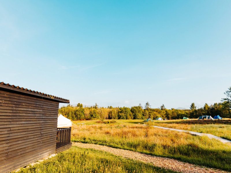 View of the meadow from Caban y Gors - luxury glamping cabin